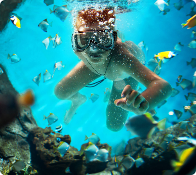 Snorkeling