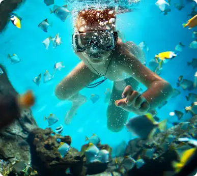 Snorkeling