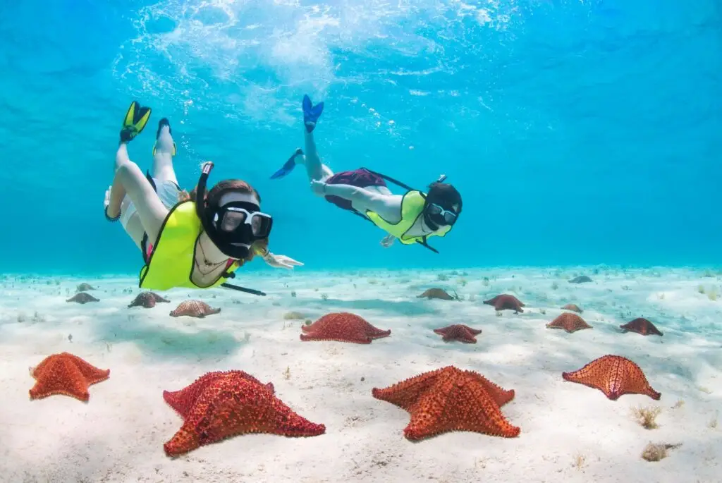 Snorkeling with Starfish in the Riviera Maya