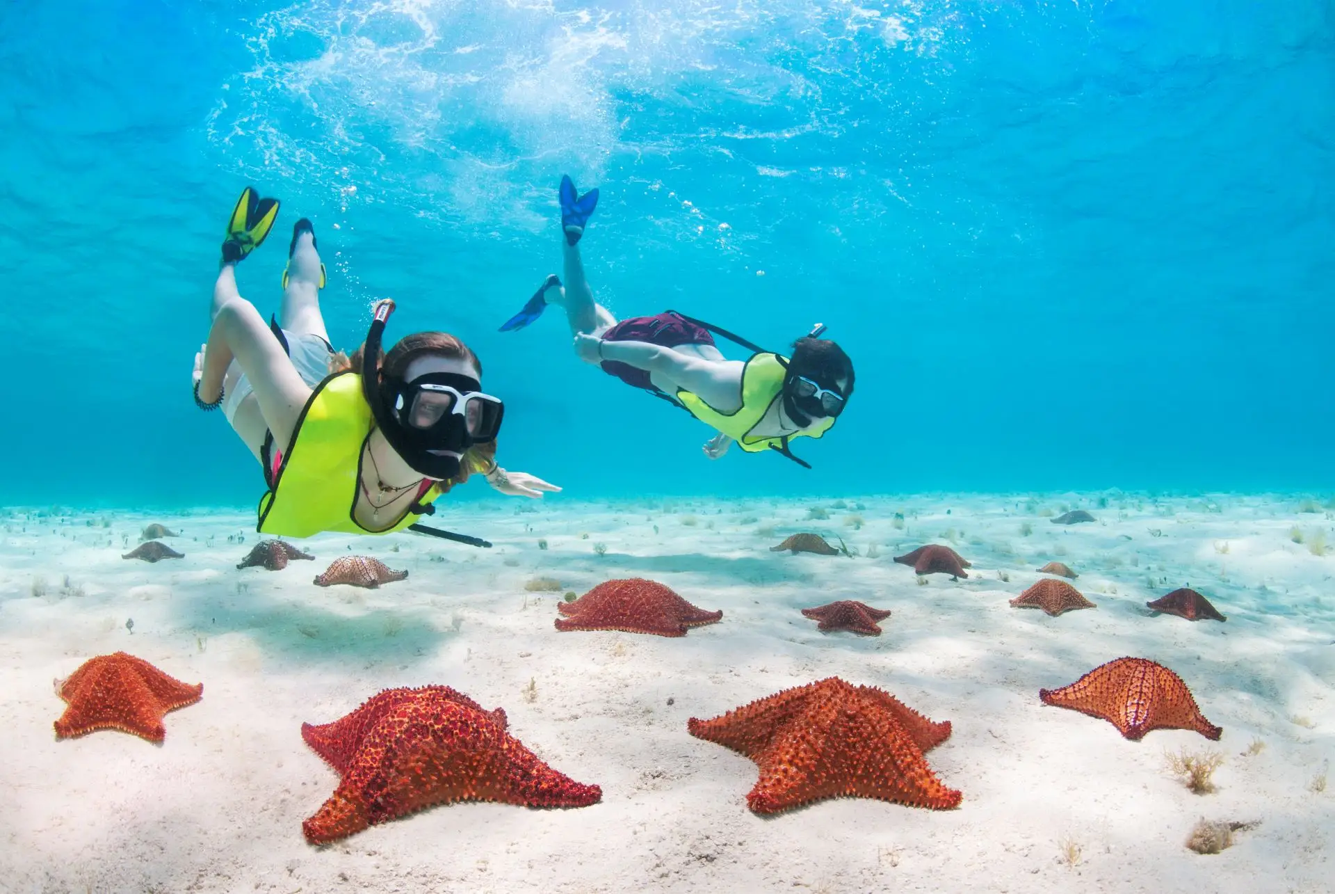 Snorkeling with Starfish in the Riviera Maya