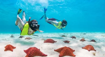 Snorkeling with Starfish in the Riviera Maya