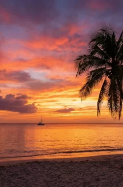 caribbean-sunset